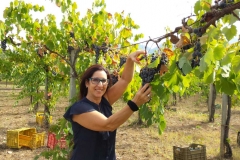Vendemmia-2015-Antonella