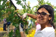 Vendemmia-2015-Maria-Grazia